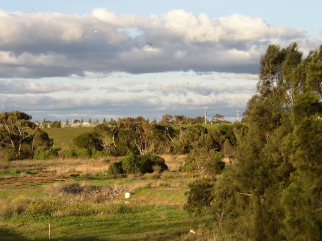 Clouds and Birds