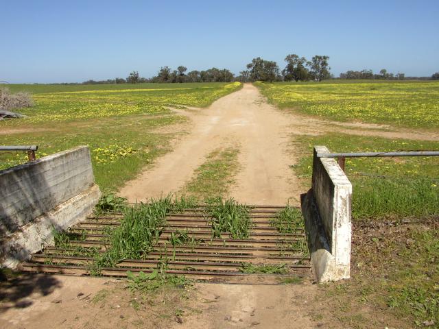 Sheep-Stopping Grid