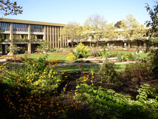 University Garden