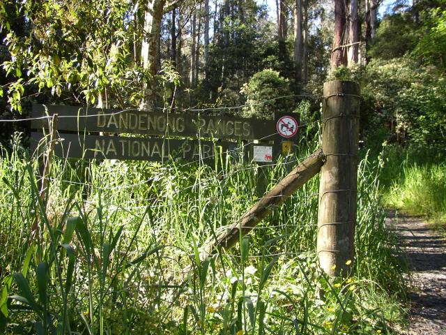 Dandenong Ranges...