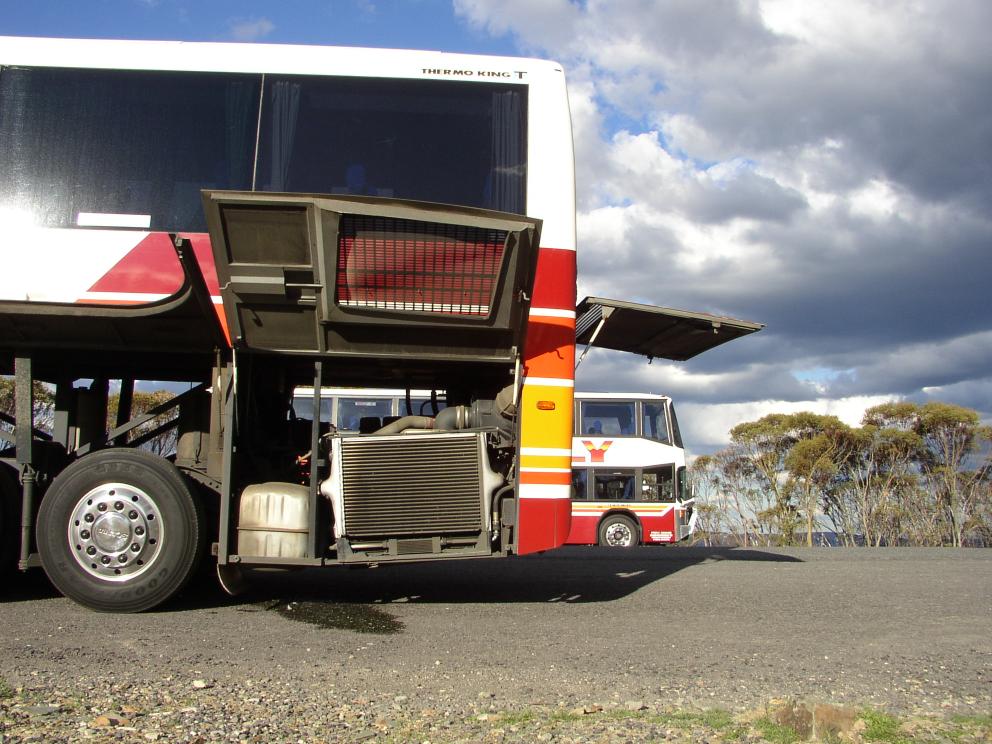 Firefly Buses