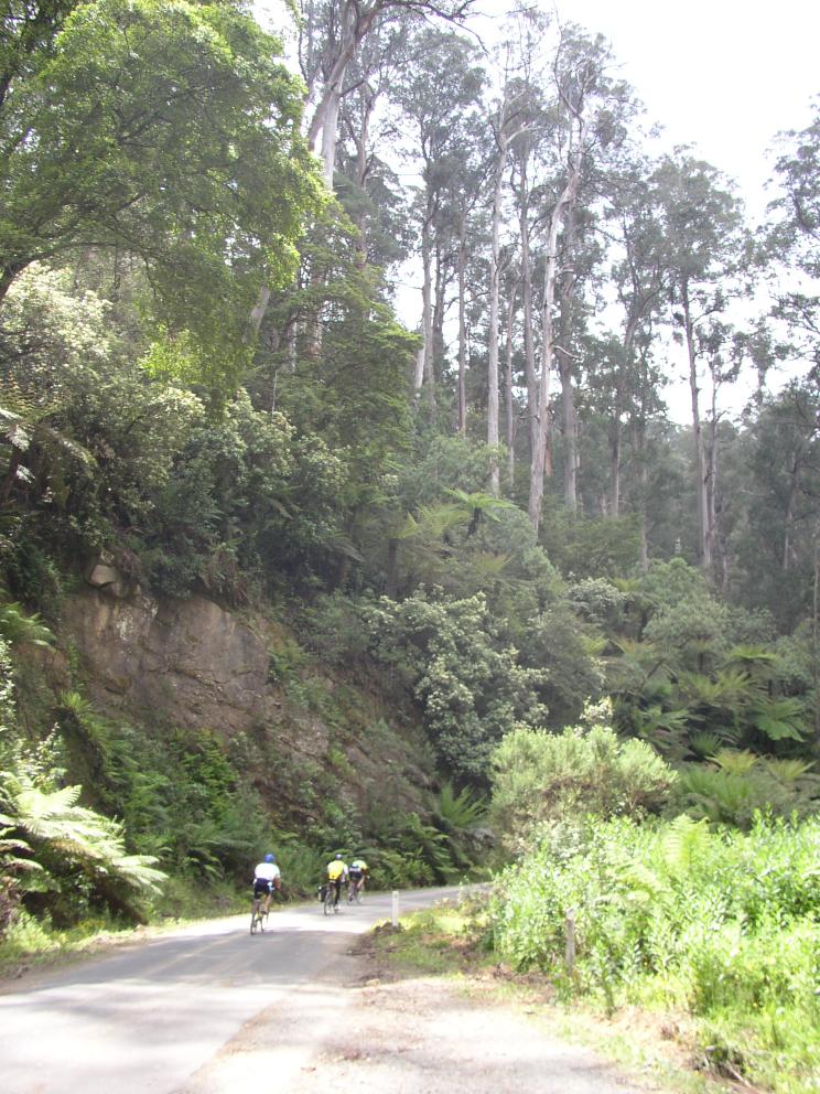 Mountainous Road