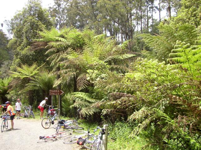 Tarra Falls