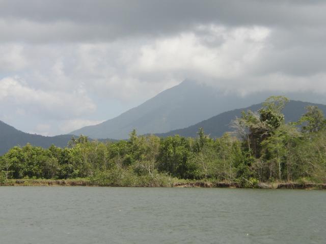 Forest, Clouds, Mountains