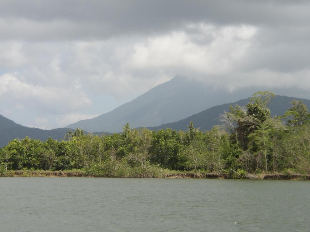 Forest, Clouds, Mountains