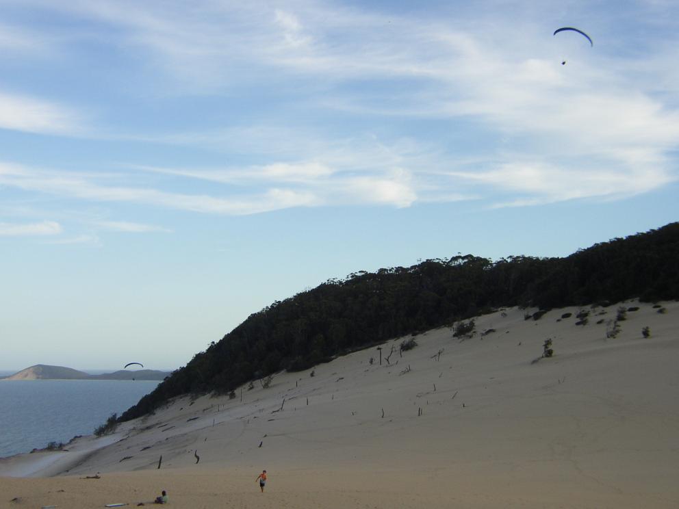 Paragliders