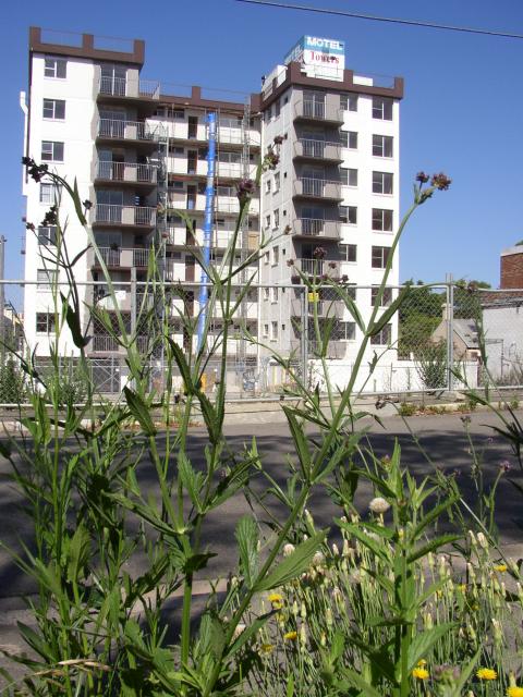 Motel Towers