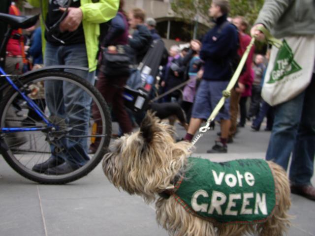 Vote GREEN