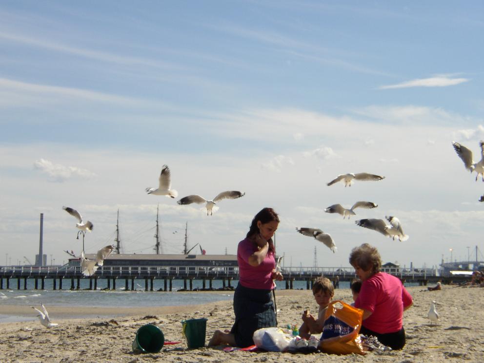 A family and birds