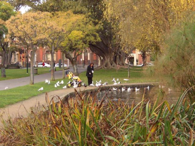 A Woman Feeding Ducks
