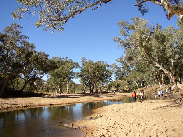 A Water Hole