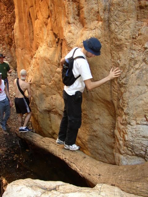 Balancing on a Log