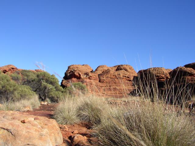 More Kings Canyon