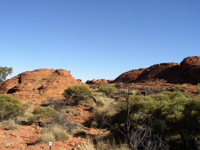 Kings Canyon 7