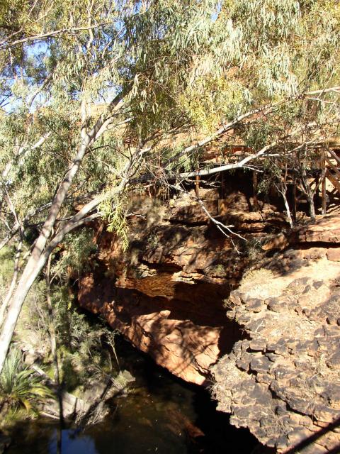 Kings Canyon 8