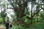 2008-10-19__11-02-11.jpg