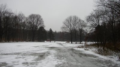 It was a cold winter Tiergarten